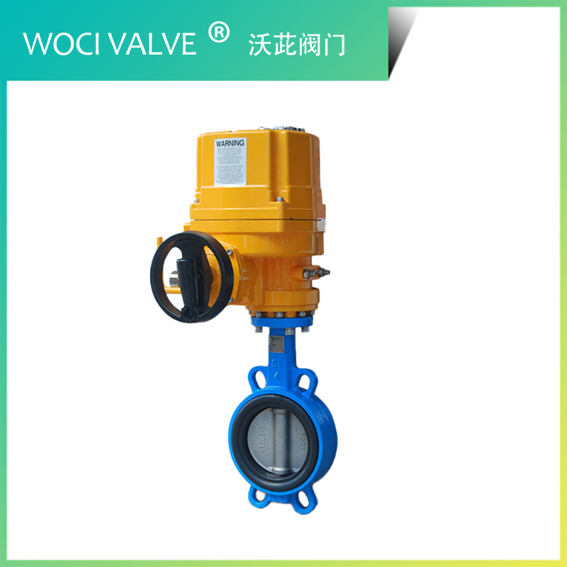 D971X 電動(dòng)對(duì)夾蝶閥